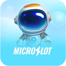 Microslot logo